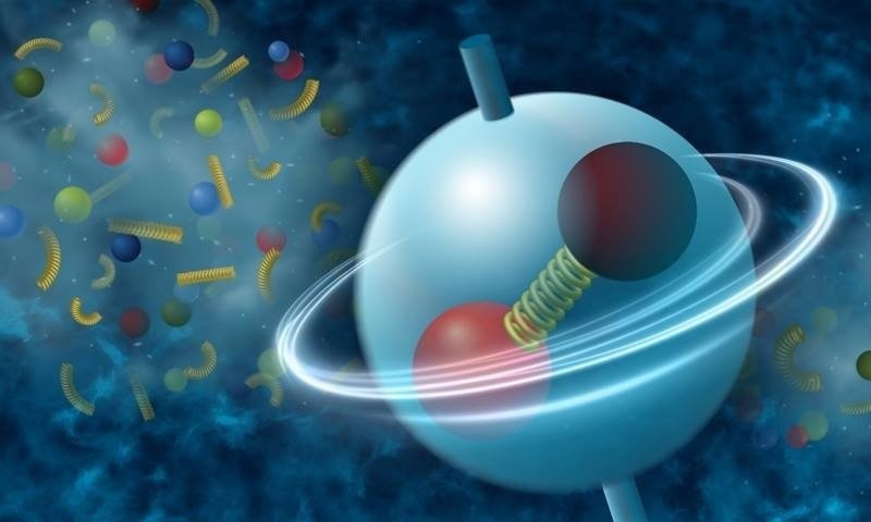Local Fluctuations Influencing the Spin Orientation of Particles