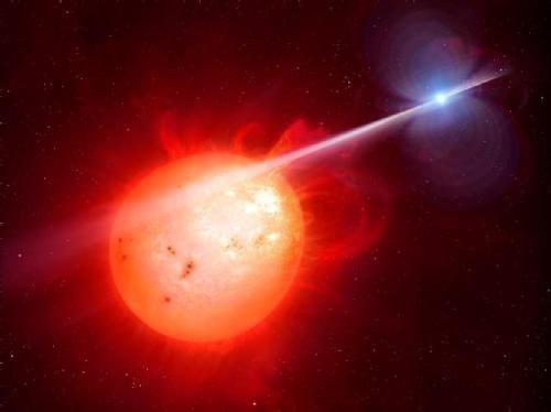 Gaining Better Insights into Stellar Evolution Using a White Dwarf Pulsar