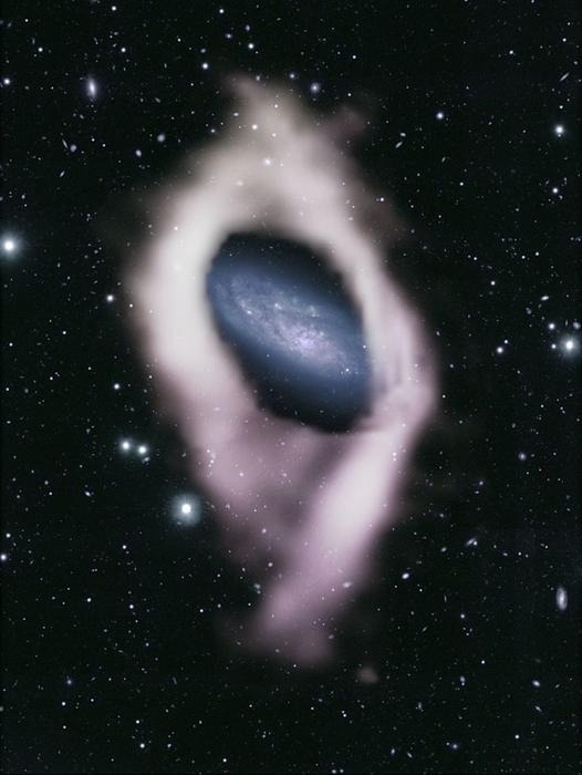 Astronomers Identify Two Potential Polar Ring Galaxies