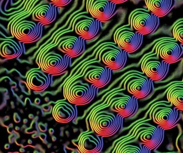Neutron Scattering Investigations Verify the Dynamics of Skyrmion Spin States