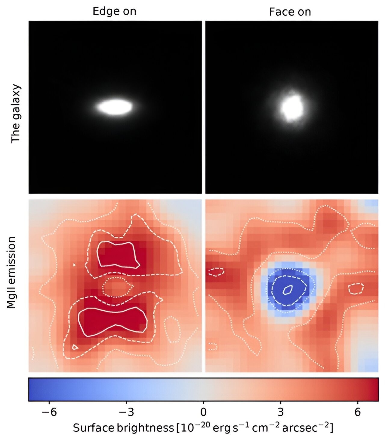 First 3D View of Galactic Winds Unveils Upward and Downward Gas Outflows