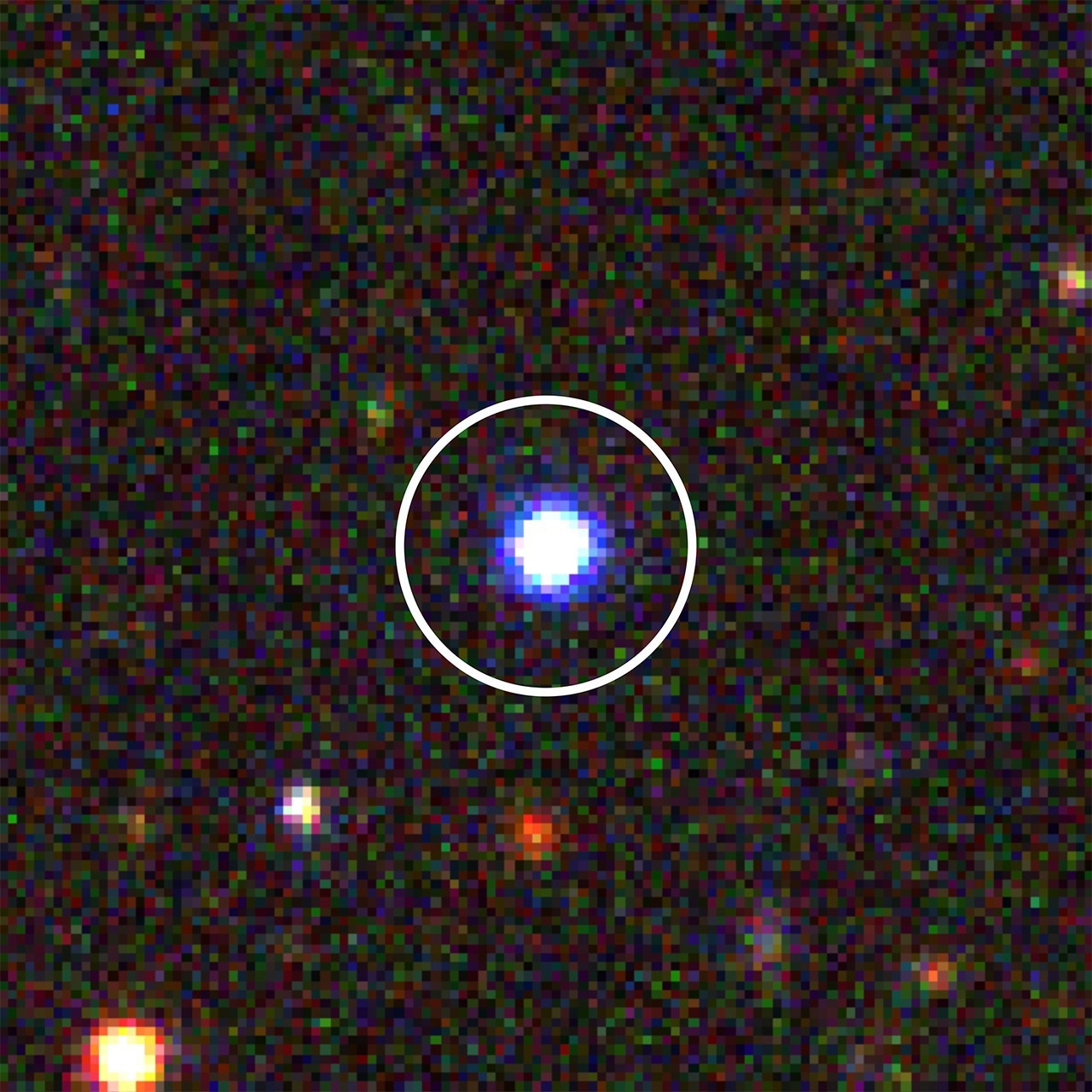 EROs Found in James Webb Camera are Actually BluDOGs