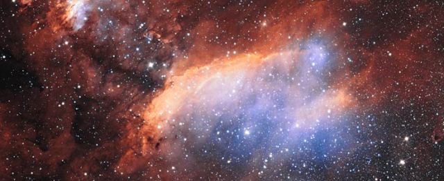 Hot New-Born Stars Nestle in Among Clouds in the Prawn Nebula