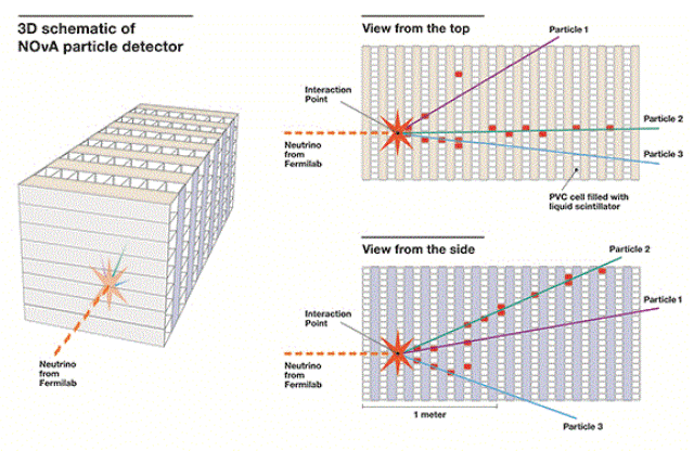 Scientists in NOvA Experiment View Their First Neutrinos