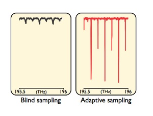 Femtosecond Lasers can be used Without Sophisticated Stabilization Schemes