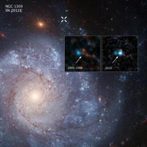 Zombie Star Left Behind After Weak Supernova Explosion