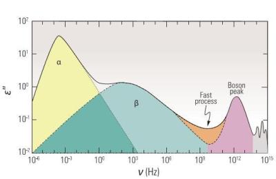 Many Outstanding Issues of Glassy Physics Connected with Secondary Relaxation Process