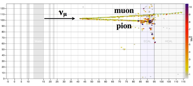 Neutrinos Can Inflict Glancing Blows to the Nucleus