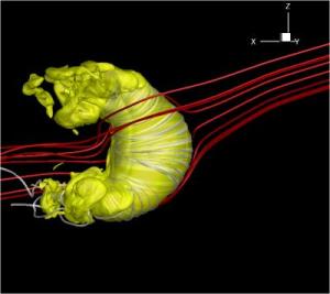 Sun's Magnetic Field Plays a Critical Role in Large-Scale Shape of the Heliosphere