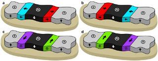 Unique Spin-Polarized Low Energy Electron Microscopy Enables Spin-Orbitronics Research