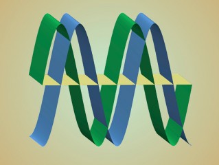 Inelastic Neutron Scattering Experiments Reveal Coexistence of Superconductivity and Magnetism