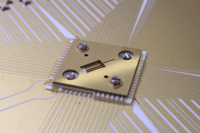 Highly Stable, Squeezed Schrödinger Cats Hold Promise for Quantum Computers