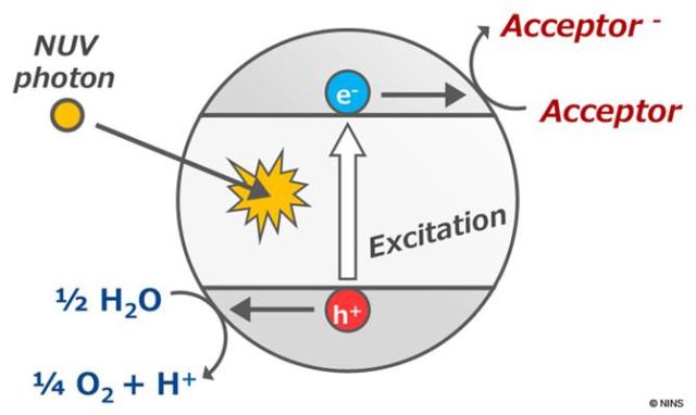 Oxygen May Not be an Essential Biomarker for Life on Extrasolar Planets