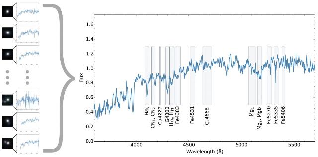Stellar Content of Massive Dead Galaxies is Similar to Local Elliptical Galaxies