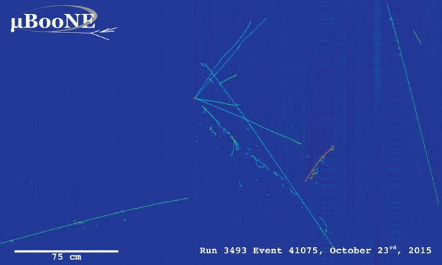 NMSU Physicists see First Images from Neutrino Interactions in the MicroBooNE Particle Detector