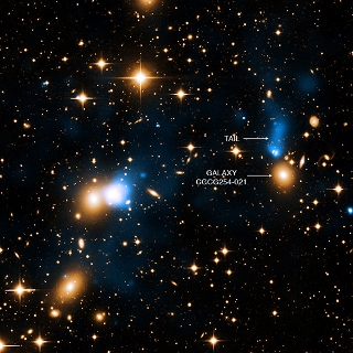 Chandra Discovers Extraordinary Ribbon of Hot Gas Trailing Behind Galaxy