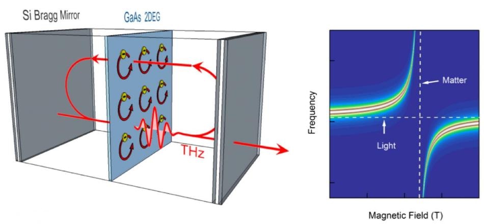 Photon-Electron Interactions Could Aid studies Related to Cavity Quantum Electrodynamics, Condensed Matter Physics