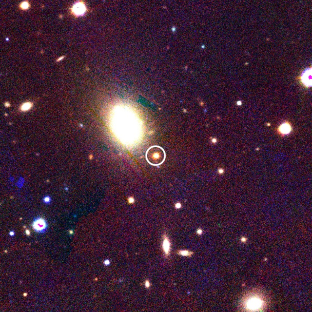Young-Looking Supernova Found in Old Galaxy