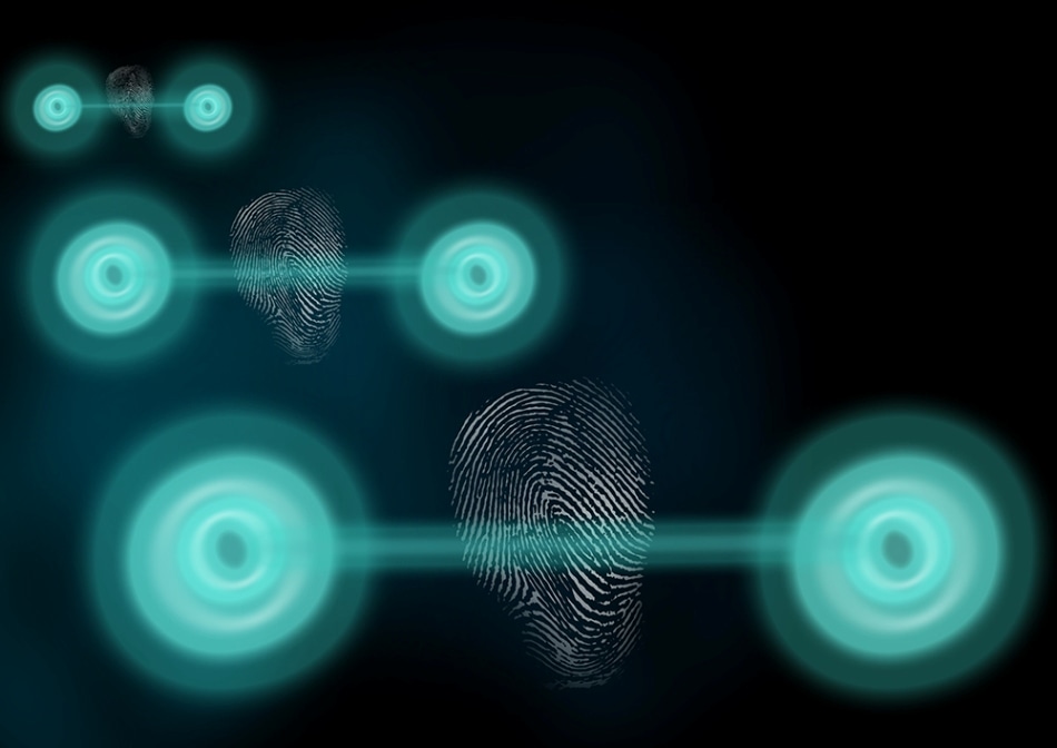 Researchers Disclose Quantum States by Measuring Their Classical Fingerprint