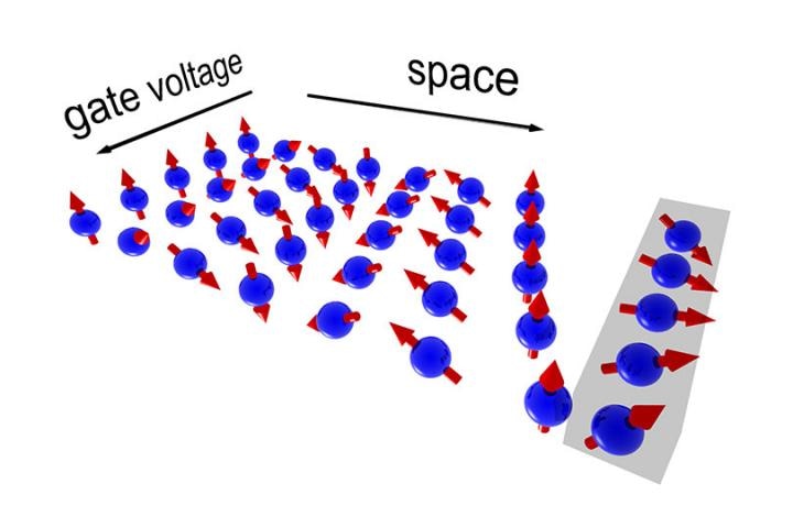 New Technique Uses Electrical Voltages to Control Electron Spin on a Chip