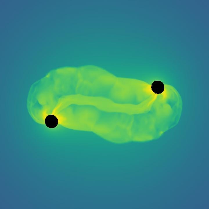 Kyoto University Explores Humanity's First Detection of Gravitational Waves