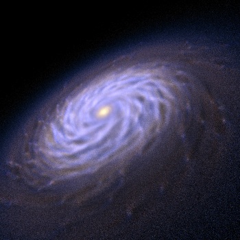 Stellar Spiral Arms in Disk Galaxies Not Transient, but Self-Perpetuating, Persistent and Long Lived