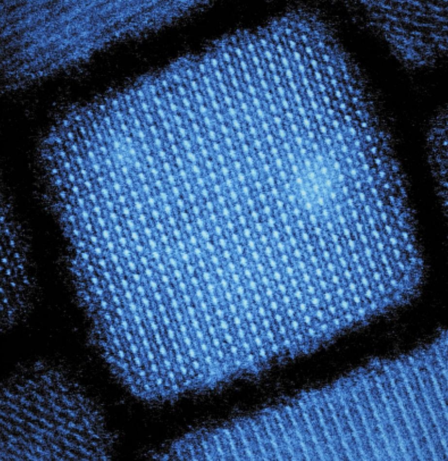 Caesium Lead Halide Quantum Dots Emit Extremely Bright and Fast Light
