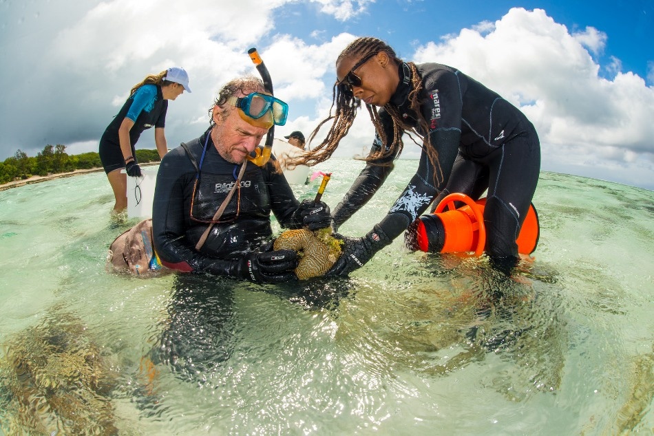 Reef RangerBot Becomes ‘LarvalBot’ to Spread Coral Babies