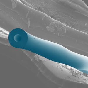 Phonon-Photon Coupling in Microfluidic Optomechanical Devices Enables Quantum Experiments