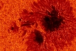 New Analysis Finds No Evidence of Any Planetary Effect on Solar Activity