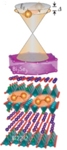 Researchers Demonstrate High Temperature Superconductivity in a Toplogical Insulator
