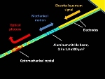 A Way to Translate Electrical Quantum States to Optical Quantum States
