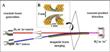 New Study Confirms Quantum Effects in Very-Low-Temperature Chemical Reactions