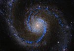 Giant Molecular Clouds Embedded in Fog Which Permeates the Galactic Disc