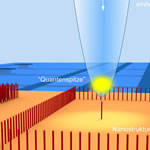 A Quantum Tip for Microscopy