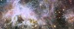 Hubble Delivers Deepest View of the Tarantula Nebula