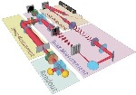 Researchers Demonstrate Direct Measurements of Quantum State Associated with Orbital-Angular Momentum