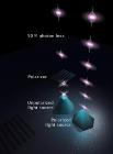 Quantum Dots Enable Creation of Light with High Degree of Linear Polarization