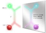 New Experiment Probes Properties of Mirror Symmetry of Quarks