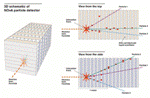 Scientists in NOvA Experiment View Their First Neutrinos