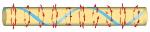 Spontaneous Magnetic Order of Electron and Nuclear Spins Observed in a Quantum Wire
