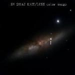 Newly Discovered Supernova Demonstrates Weird Behavior