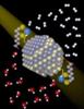 CdSe Quantum Dots and Nickel Catalysts Improve Light-Driven Hydrogen-Production Systems
