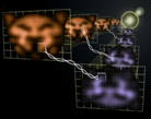 Quantum-Entangled Images