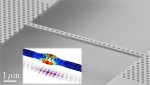 Novel Scheme to Probe Non-Classical States of Macroscopic Systems