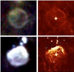 Intrusive Cluster of Neighbors Influence Diverging Gaseous Garb of Rare, Identical Stars