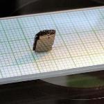 Magnetic Properties Observed in Iron Based Compound Without Rare Earth Elements
