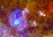 New View of Supernova Remnant W44