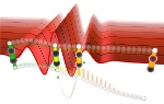 New Quantum Control Mechanism Selectively Breaks C-H Bonds in Symmetric Hydrocarbon Molecules