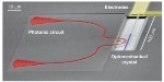Ambitious Project to Create Quantum Devices for Communication Among Quantum Computers